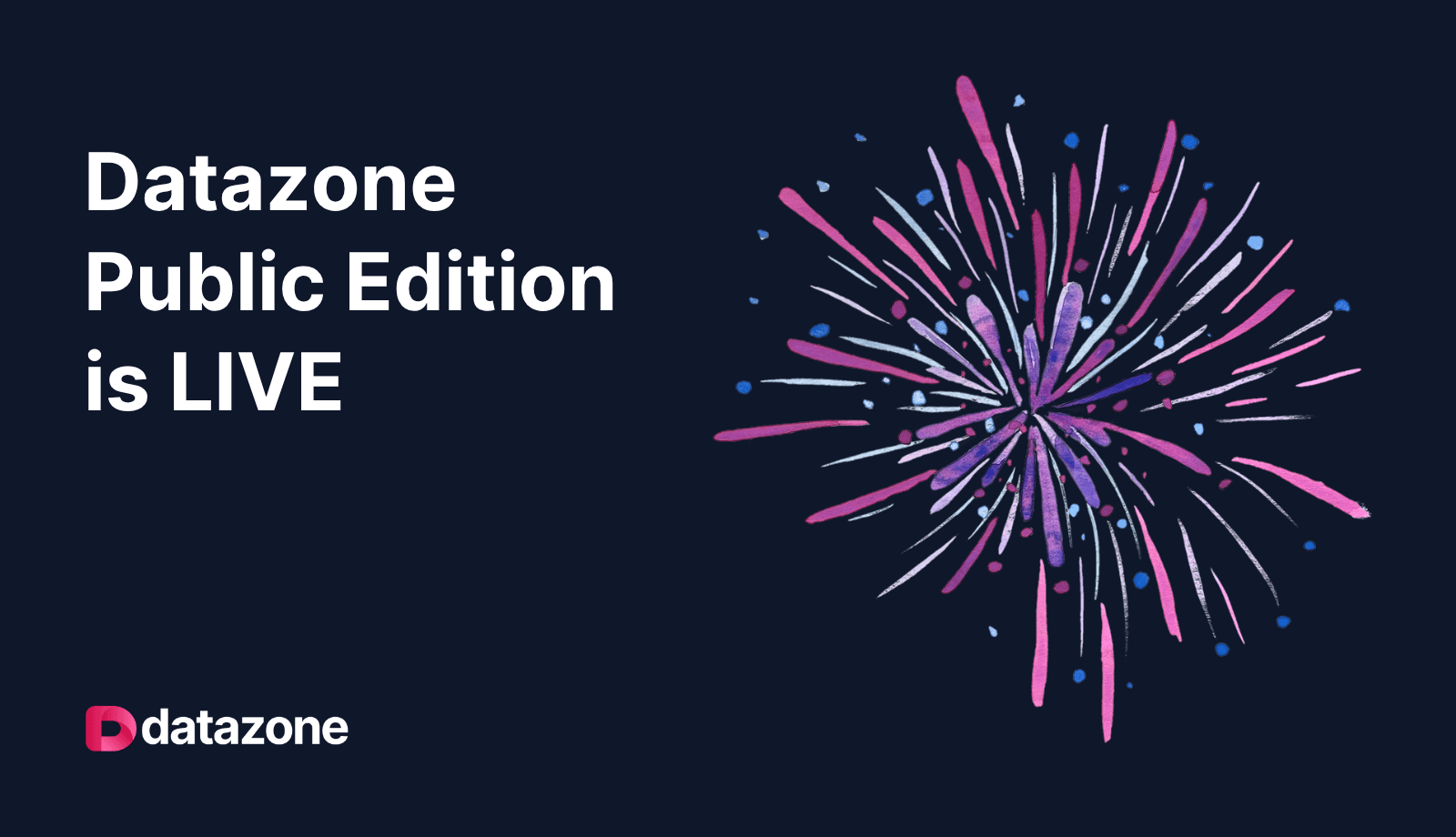 Datazone Public