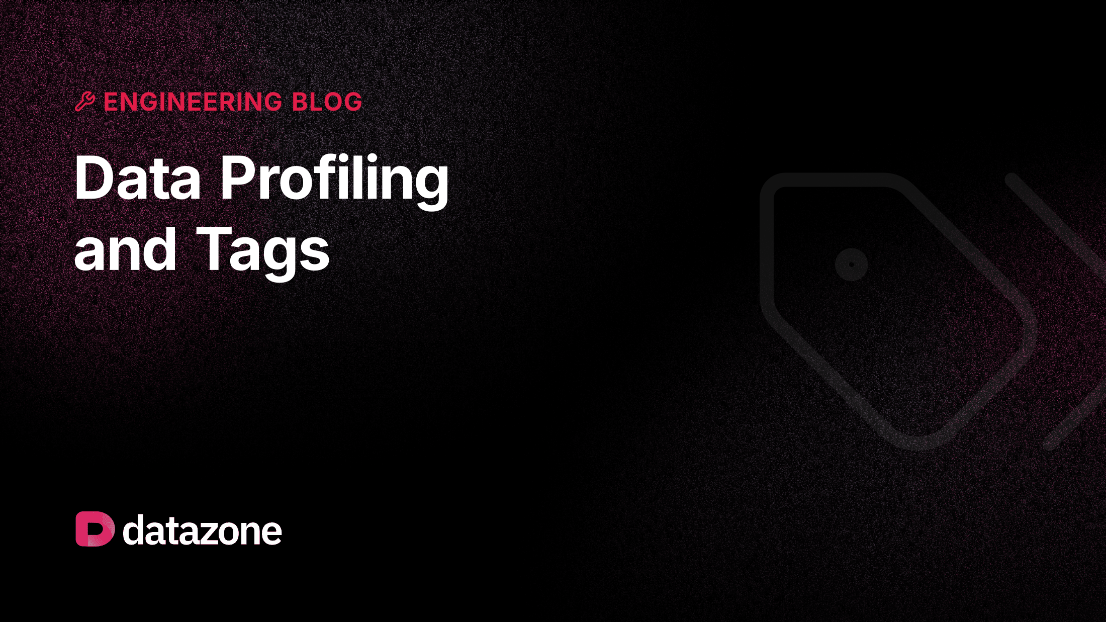 Data Profiling and Tags: What Is This Dataset, and What's Actually In It?